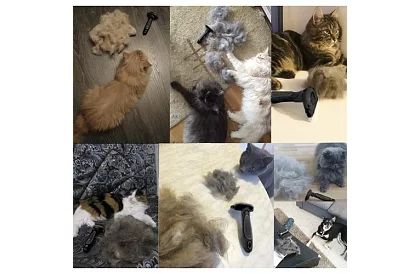 Wyczesująca szczotka – furminator