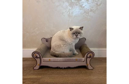 Drapak dla kotów - sofa Purlov 24285