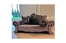 Drapak dla kotów - sofa Purlov 24285