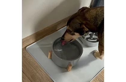 Silikonowa podkładka pod miski – XXL 60 x 40 cm