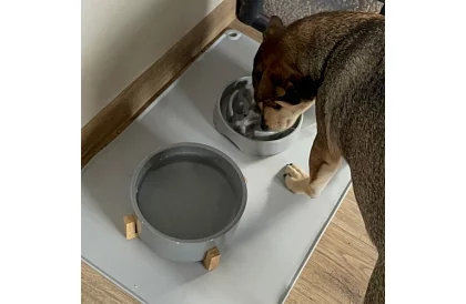 Silikonowa podkładka pod miski – XXL 60 x 40 cm