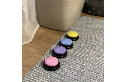 Przycisk do nagrywania mowy dla psa – trening komunikacyjny w domu