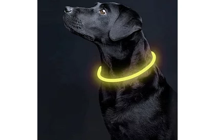 Świecąca obroża LED z ładowaniem USB i regulowaną długością