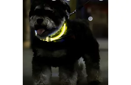 Świecąca obroża LED z ładowaniem USB i regulowaną długością