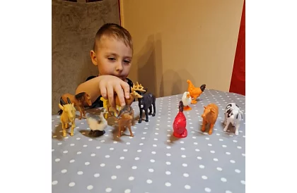 Hodowlane zwierzęta – 12 figurek
