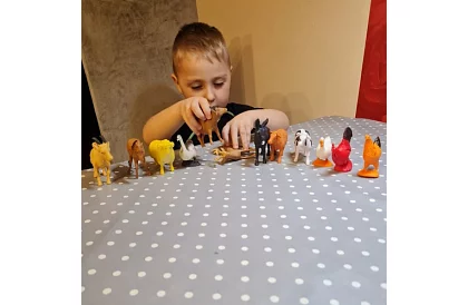 Hodowlane zwierzęta – 12 figurek