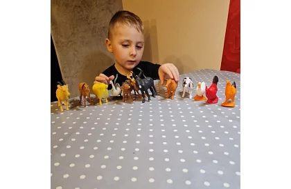 Hodowlane zwierzęta – 12 figurek