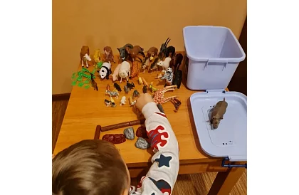 Zwierzęta z plastiku – 48 zwierząt w walizce