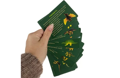 Dinozaurze jaja 12 sztuk - mały archeolog