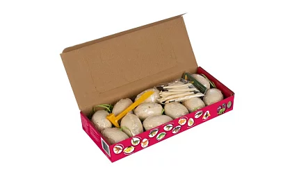 Dinozaurze jaja 12 sztuk - mały archeolog