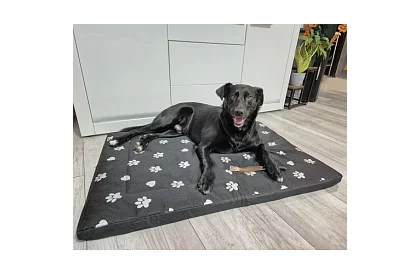 Wodoodporny legowisko dla psa - materac 100x70 cm