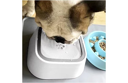 Miska na wodę + podróżna miska w zestawie