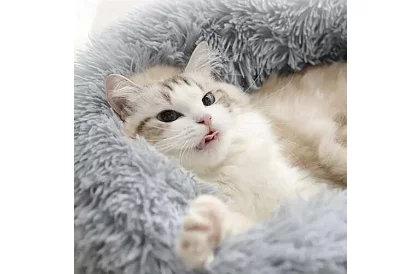 Luksusowe legowisko dla psów, kotów i królików - 60 cm