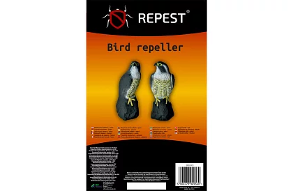 Strach ptaków – realistyczny sokół