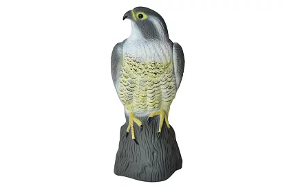 Strach ptaków – realistyczny sokół