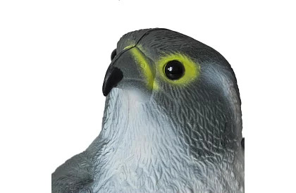 Strach ptaków – realistyczny sokół