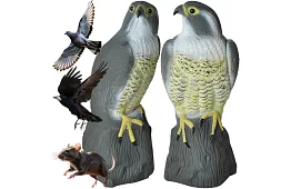 Strach ptaków – realistyczny sokół