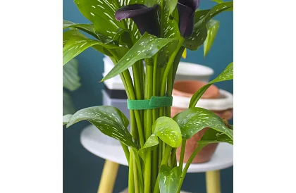 Taśma ogrodnicza na rzep – do mocowania roślin 500 cm