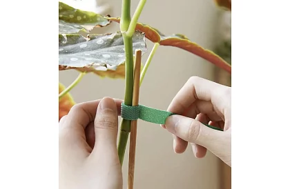 Taśma ogrodnicza na rzep – do mocowania roślin 500 cm