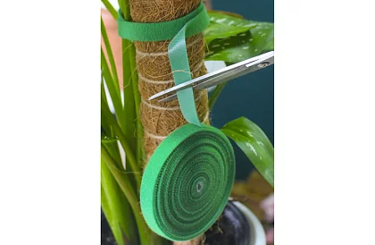 Taśma ogrodnicza na rzep – do mocowania roślin 500 cm
