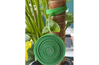 Taśma ogrodnicza na rzep – do mocowania roślin 500 cm