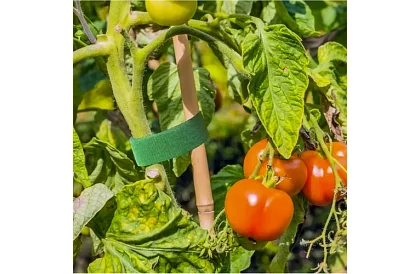 Taśma ogrodnicza na rzep – do mocowania roślin 500 cm