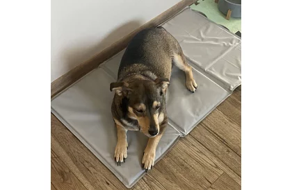 Podkład chłodzący żelowy - 90 x 50 cm