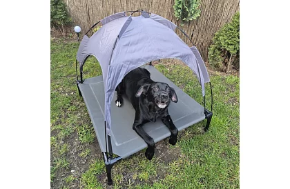 Wzniesiona kryta budka dla psów