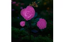 Lampka LED ogrodowa solarna – róża