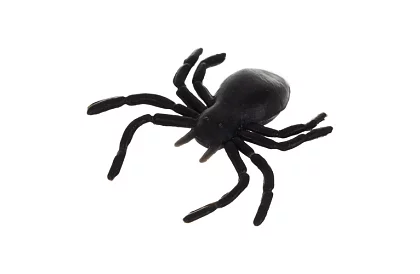 Plastikowe pająki – Dekoracja Halloweenowa, 10 sztuk