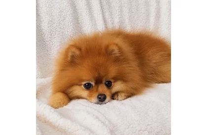 Dwustronny ciepły koc 150 x 200 cm – ciemnoszary