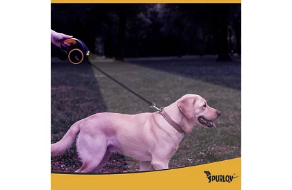 Flexi smycz dla psów z latarką LED - 5 m - 10 - 25 kg