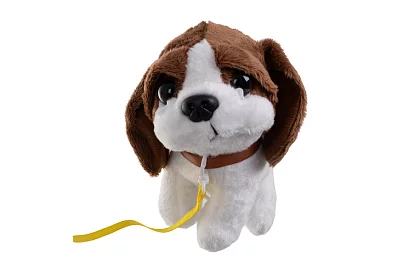 Mała zestaw lekarski – mały weterynarz