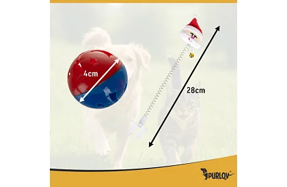 Zestaw zabawek dla kotów – 6 szt.