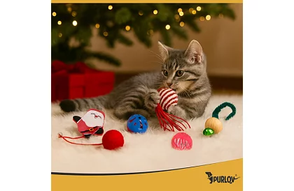 Zestaw zabawek dla kotów – 6 szt.