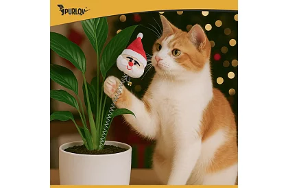 Zestaw zabawek dla kotów – 6 szt.