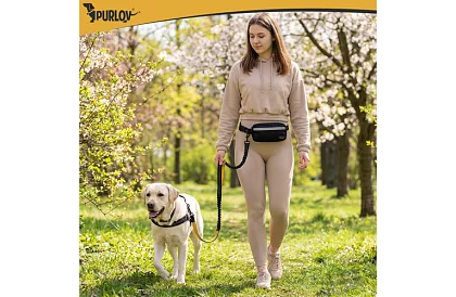 Biegowa nerka z smyczą dla psa + akcesoria