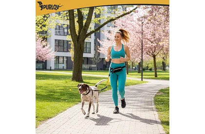 Biegowa nerka z smyczą dla psa + akcesoria