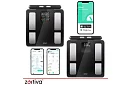 Osobowa analityczna waga Bluetooth – WiFi ZORTIVA Smart Premium