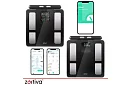 Osobowa analityczna waga Bluetooth – WiFi ZORTIVA Smart Premium