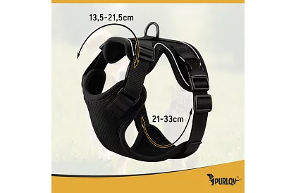 Beztlakowy szelki dla psów i kotów z linką – Rozmiar XS