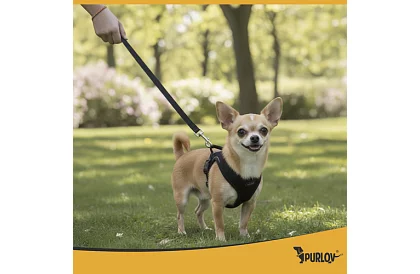 Beztlakowy szelki dla psów i kotów z linką – Rozmiar XS