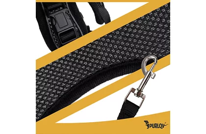 Beztlakowy szelki dla psów i kotów z linką – Rozmiar XS