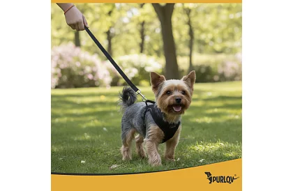 Beztlakowy szelki dla psów i kotów z linką – Rozmiar S