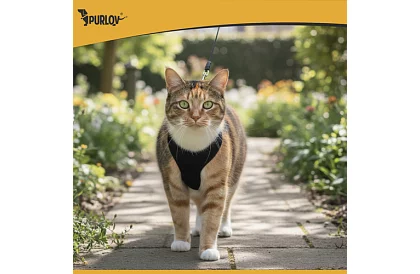 Beztlakowy szelki dla psów i kotów z linką – Rozmiar S