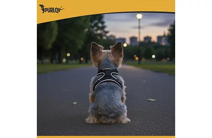 Beztlakowy szelki dla psów i kotów z linką – Rozmiar S