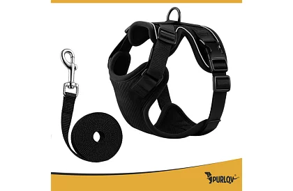 Bezpłatny uprząż dla psów i kotów z smyczą – Rozmiar M