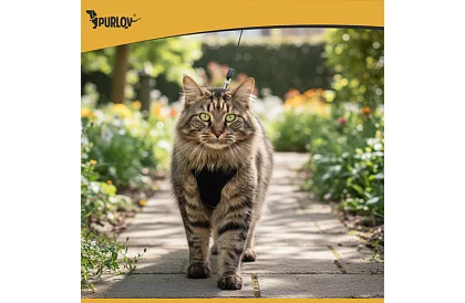 Bezpłatny uprząż dla psów i kotów z smyczą – Rozmiar M