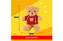 Miś z bluzą 30 cm – pluszowa zabawka dla dzieci 0+