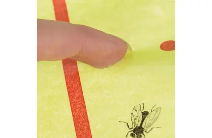 Lapač owadów, rolka 25 × 1000 cm – mucholapka